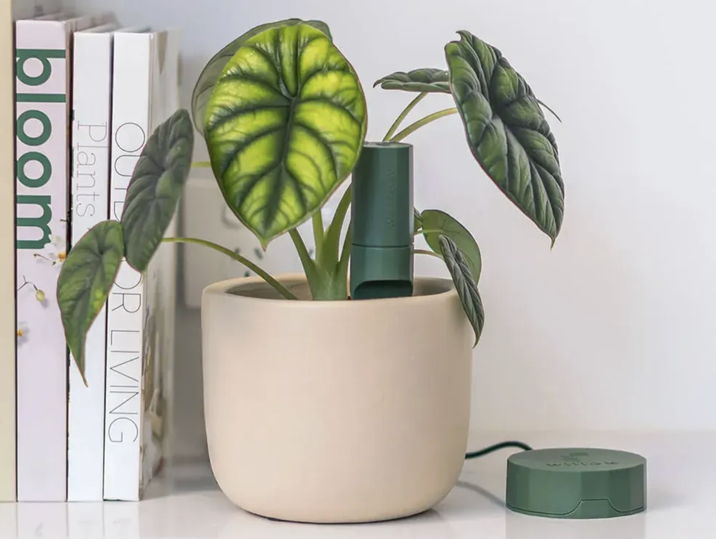 Five genuinely useful gadget gifts for under £40