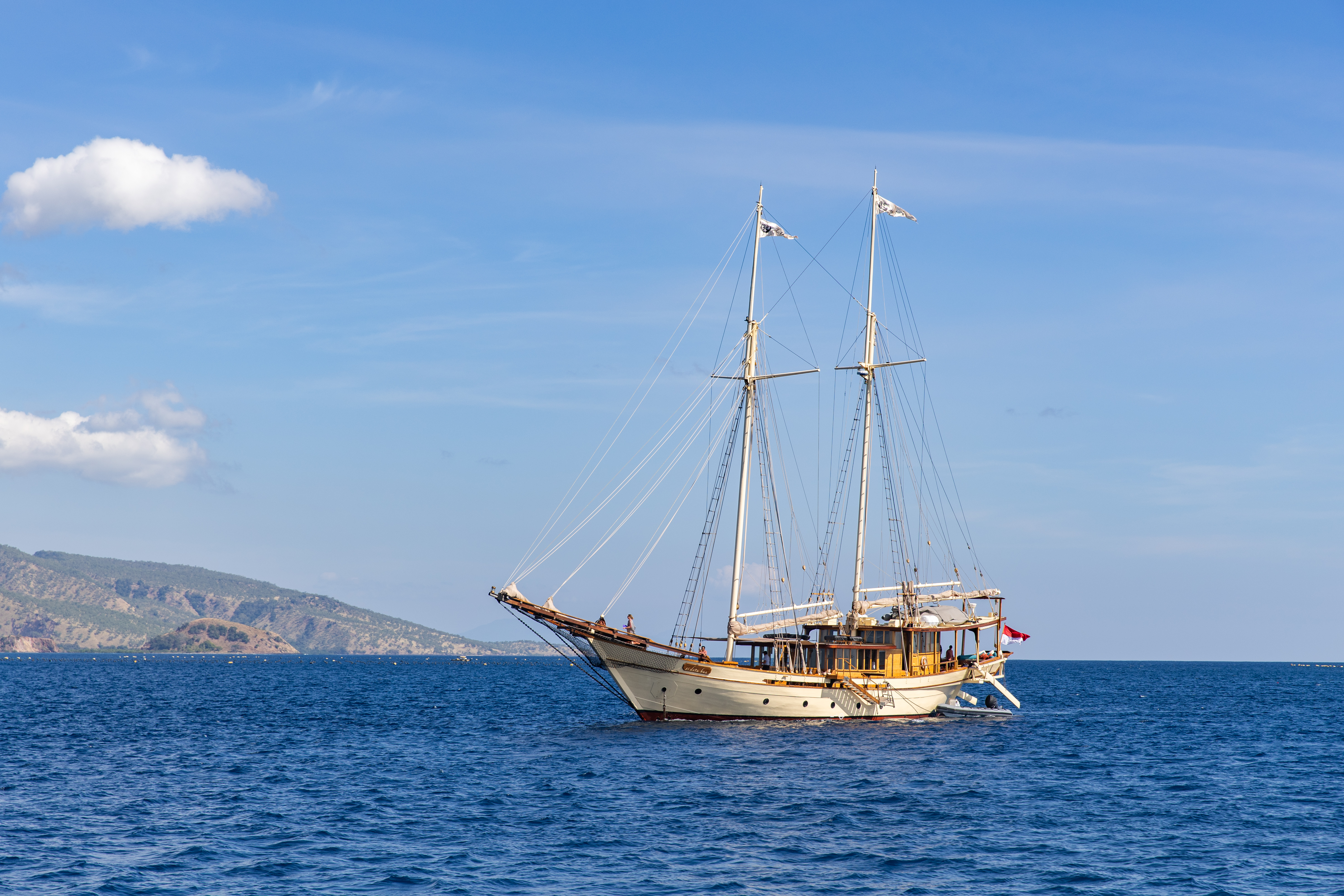 The luxury travellers helping to bring a shark back from the brink