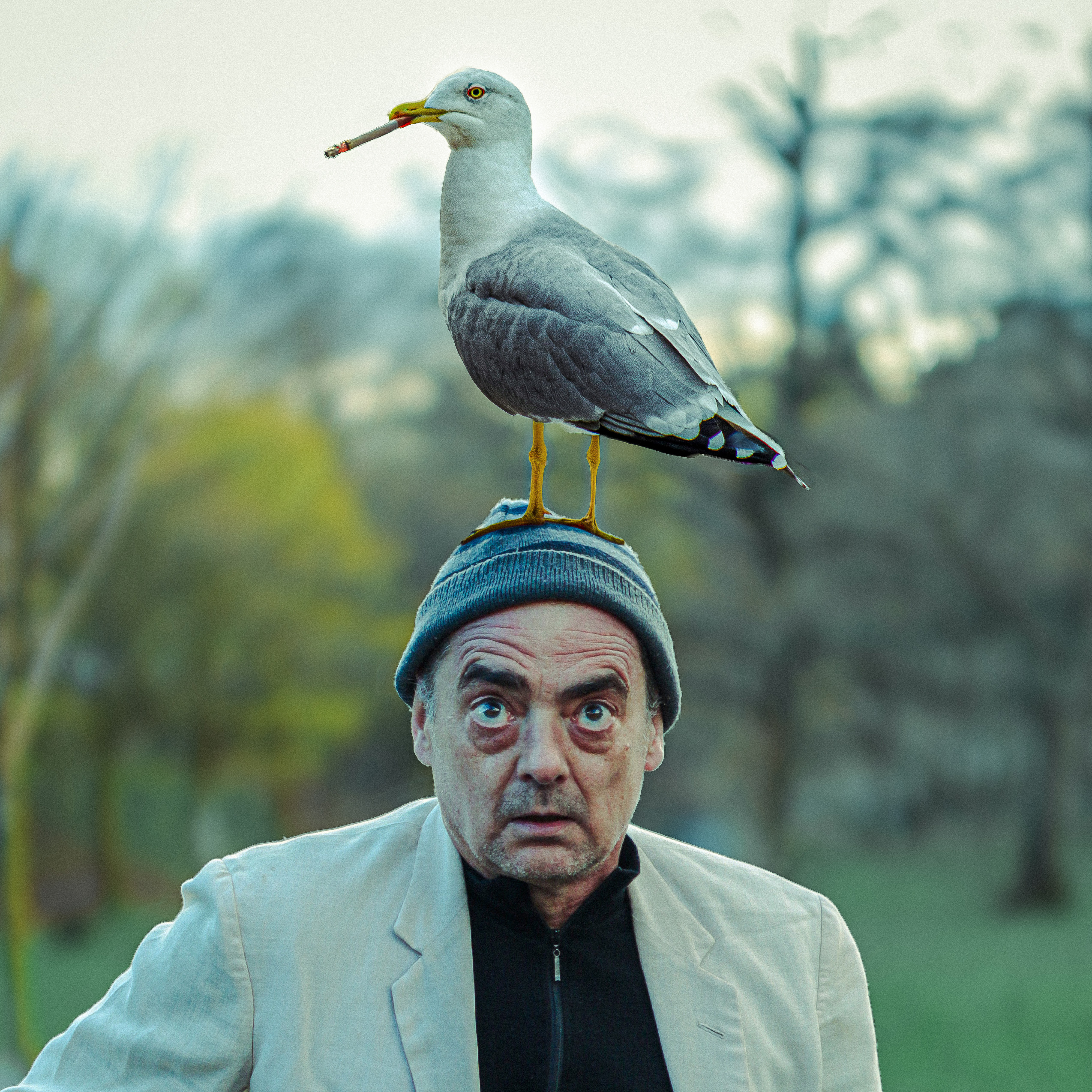 Q&A: Ben Standish on Nesting's Surreal Story of Love, Loss and Hope 