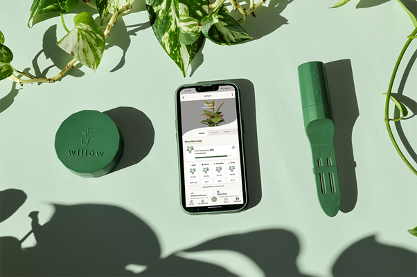 The £35 gadget that promises to tell you what your houseplants actually need